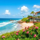 금곡바다장어구이 이미지