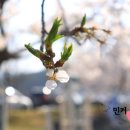 종로-종로-종로-종-343 이미지