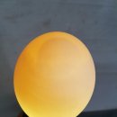 오리나라만세 이미지