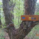 운문마을회관 이미지