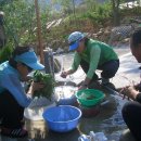 아라리펜션 이미지