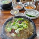 제주성산해장국 | 제주 &#34;은희네해장국&#34; 성산점 아침식사 후기