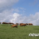 김한식농장 이미지