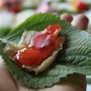 대포해송 이미지