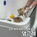 댕그레 이미지