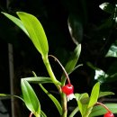 티지나SM 이미지