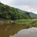 운주시장 Daum카페