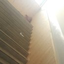 심천중학교 이미지