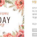 일요일(특별) 이미지