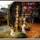 느림보농장 이미지