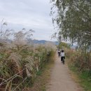 삼락생태공원(삼락 4번 주차장 옆 인라인스케이트장 내) | 아이랑 갈만한 곳 삼락생태공원에서 자전거 타기