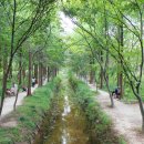 농업회사법인 주식회사 모심정 이미지