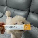 에브리 멍데이 이미지