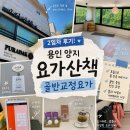 요가다운 | [용인 운동]요가 2일차, 고림동필라테스 요가산책에서 골반순환요가 체험 후기