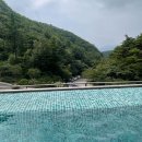제천 가족여행 포레스트 리솜 해브나인 스파 수영장 이용시간 후기