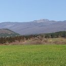 도출목장 이미지