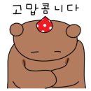 비고리조트 3 이미지