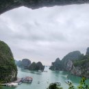 드래곤 골프 | ⛳️ 하이퐁 초특급 드래곤골프 후기