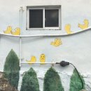 영도진주냉면 이미지