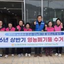 농협 인천옹진군지부 | [인천] 농협 옹진군지부, 자월도서 영농폐기물 수거 활동 전개 / 26.04.09 (목)