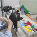 중앙미용학원 | 광주미용학원 헤어디자이너의 꿈을 실현시켜준 중앙미용학원 후기