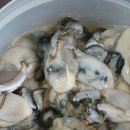 제철한입