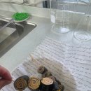 편식하는 어린이를 위한 요리교실(도시락 만들기) | #김.치즈.햄말이