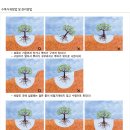 농업회사법인 주식회사 광일농원