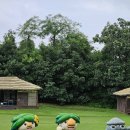 선사유적지 미롱이 이미지