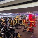 바디퍼포먼스짐 이미지