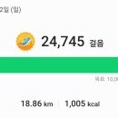 장터돈가스 Daum카페