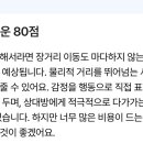 하빈쇼핑 이미지