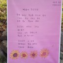 찾아가는 아라가야 문해교실 | 「함안 가을 당일 여행」 말이산 고분군, 무진정, 입곡군립공원 탐방