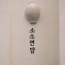 포항 독채 풀빌라 유럽풍 감성 숙소 소소연담 내돈내산
