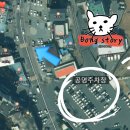 밥먹고 | 칠곡 왜관 맛집 황금원 짬뽕 야끼밥 탕수육 먹고 온 후기