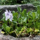 문덕면사무소 이미지