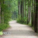 조앤조숲요양병원 이미지