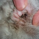 효동크리닝 이미지