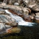 동아무도장 이미지