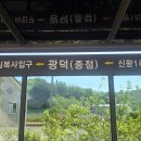 신왕2리마을회관 | 2026.5.5..경기 평택섶길 3-1 코스 명상길