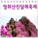 제919차(2026.4.2.목) 창립 30주년 기념 정기 산행 안내 및 예약/전남 여수시 영취산-호랑산 코스 진달래꽃 탐방 이미지
