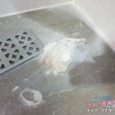 기찬주택관리 이미지