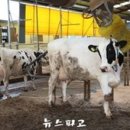 우일목장 이미지