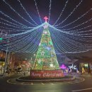 양림동 행정복지센터 이미지