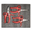 카이로스 이미지