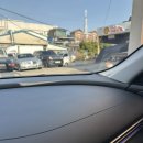 돼지카센터