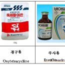 정은약국 이미지