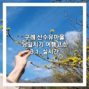 원탑고수부지 | [여행] 구례 산수유마을 실시간3.1.사진스팟 구례하동 당일치기 여행 코스 (산수유사랑공원-산수유...