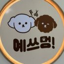 예쓰멍! 이미지