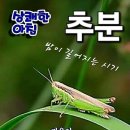 추분(밤이 길어지는 시기) 이미지